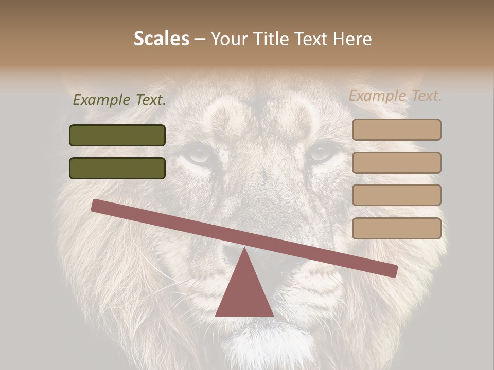 Indian Portrait Asian PowerPoint Template