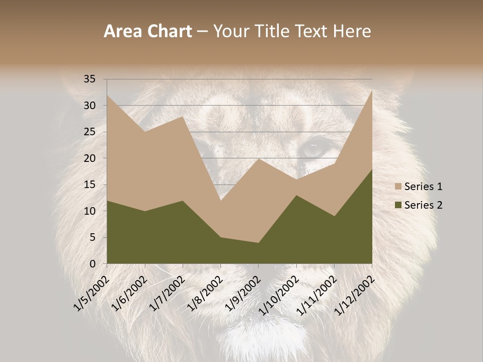 Indian Portrait Asian PowerPoint Template