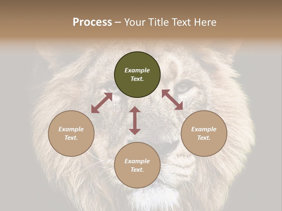 Indian Portrait Asian PowerPoint Template