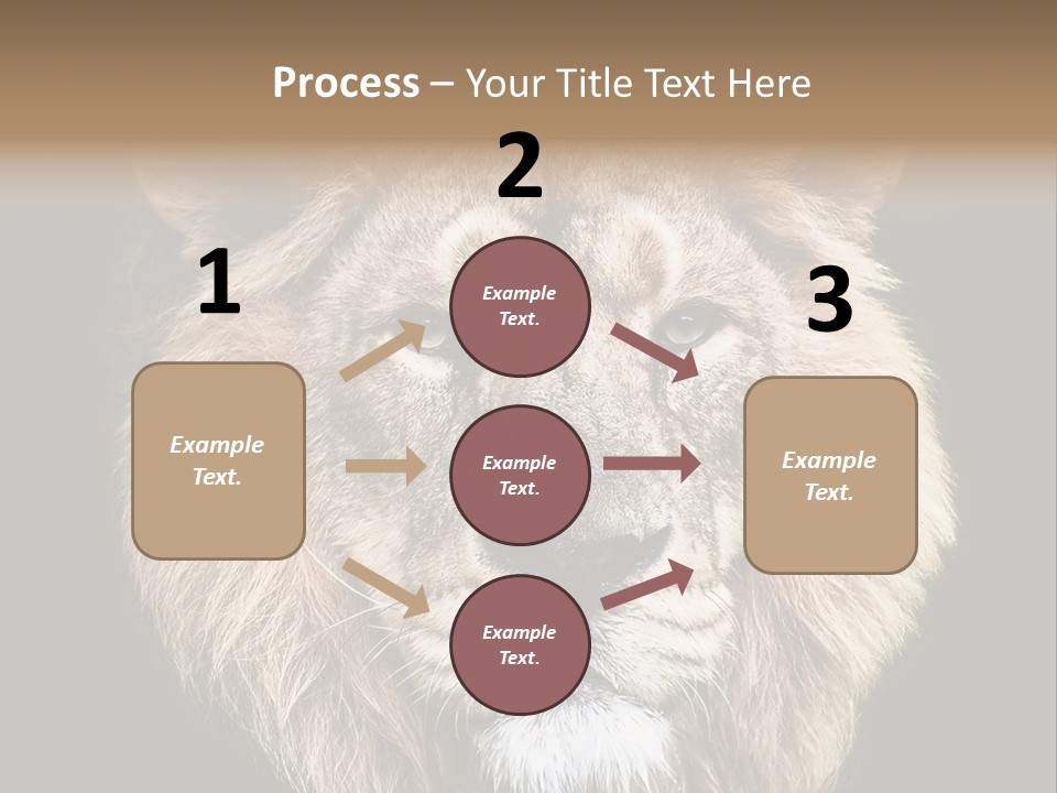 Indian Portrait Asian PowerPoint Template