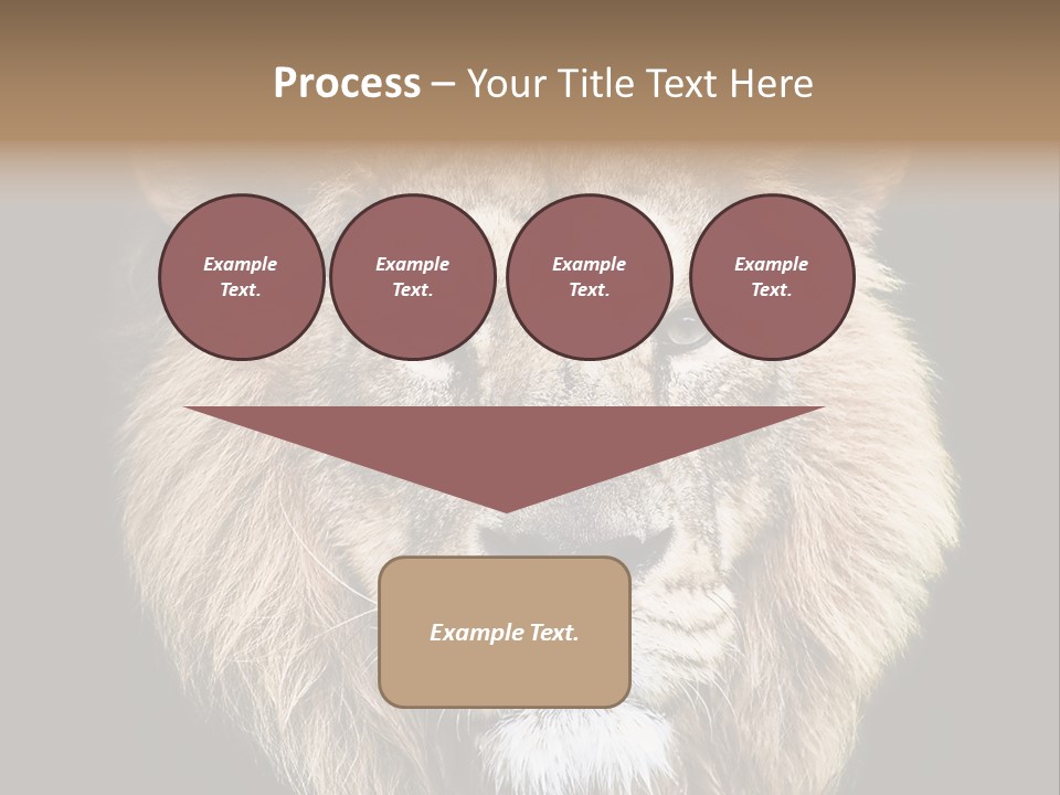 Indian Portrait Asian PowerPoint Template