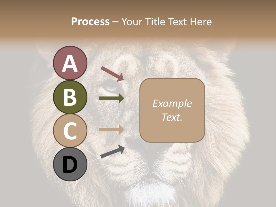 Indian Portrait Asian PowerPoint Template