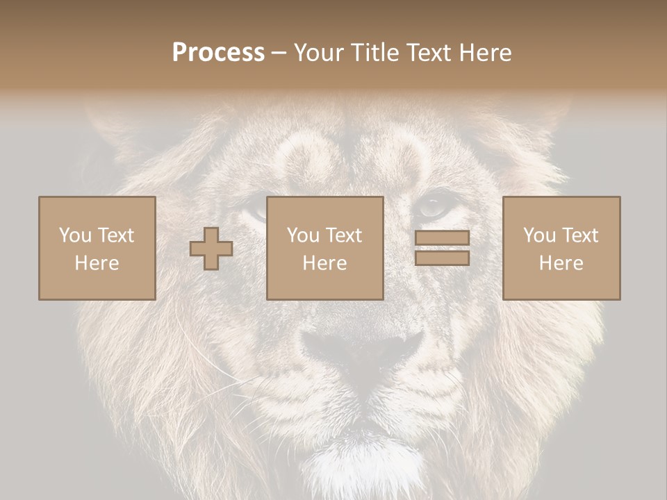 Indian Portrait Asian PowerPoint Template