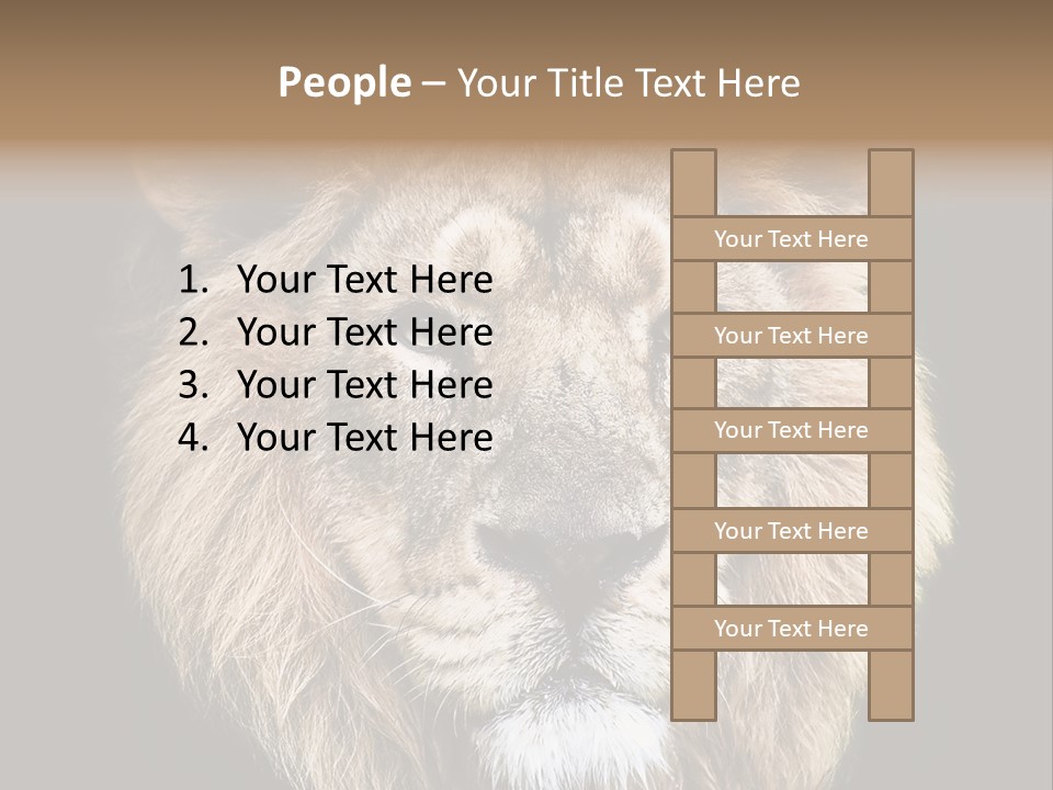 Indian Portrait Asian PowerPoint Template