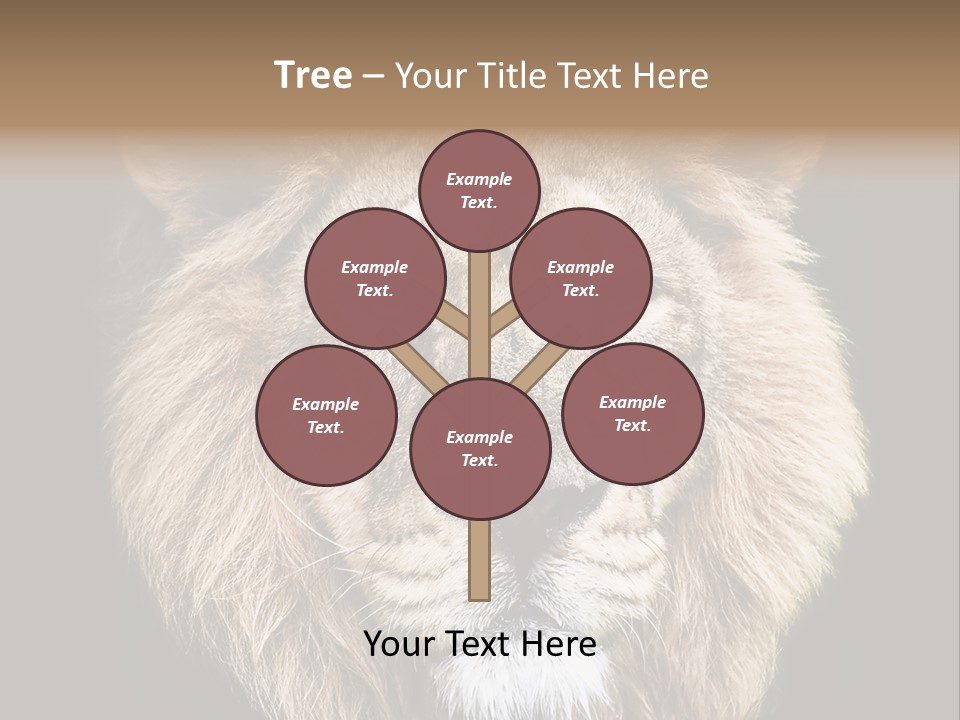 Indian Portrait Asian PowerPoint Template