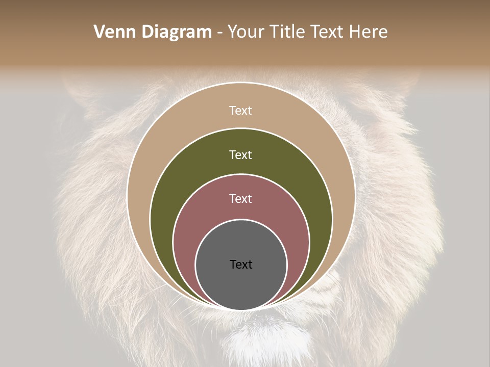Indian Portrait Asian PowerPoint Template