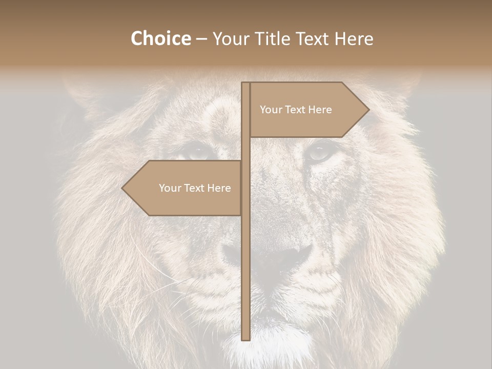 Indian Portrait Asian PowerPoint Template