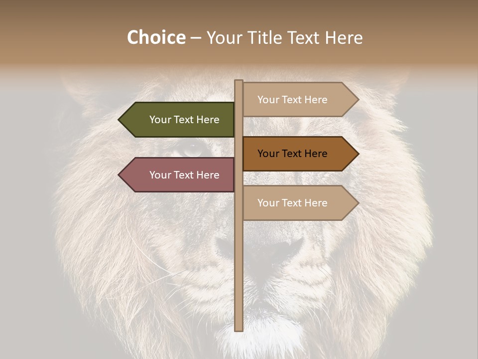 Indian Portrait Asian PowerPoint Template