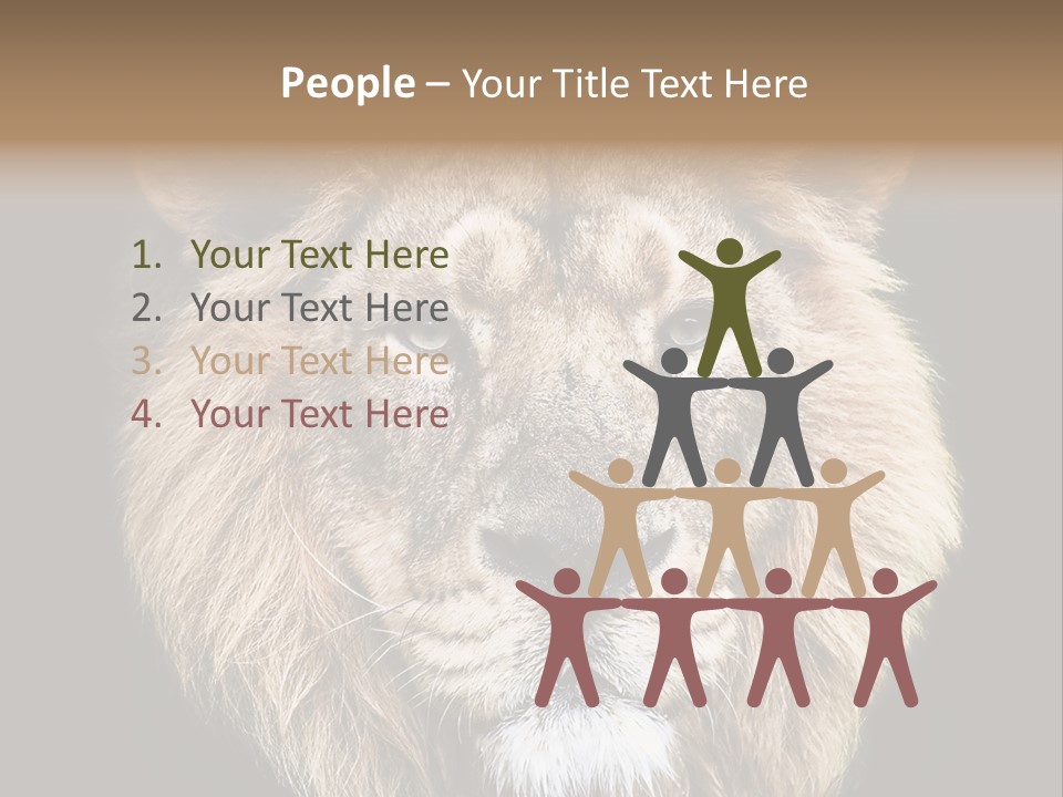 Indian Portrait Asian PowerPoint Template