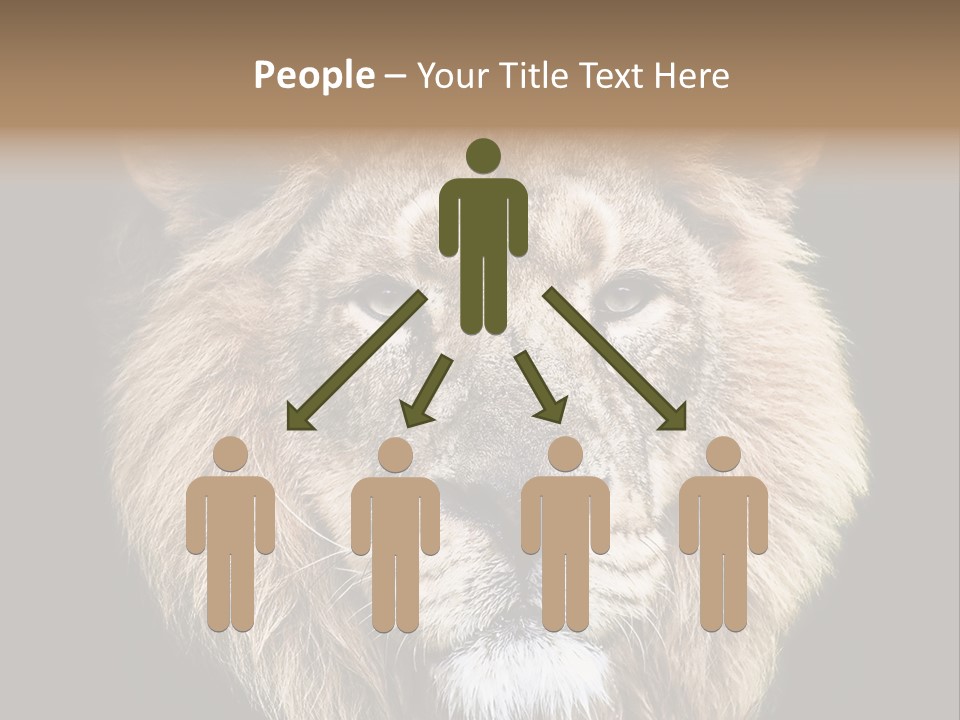 Indian Portrait Asian PowerPoint Template