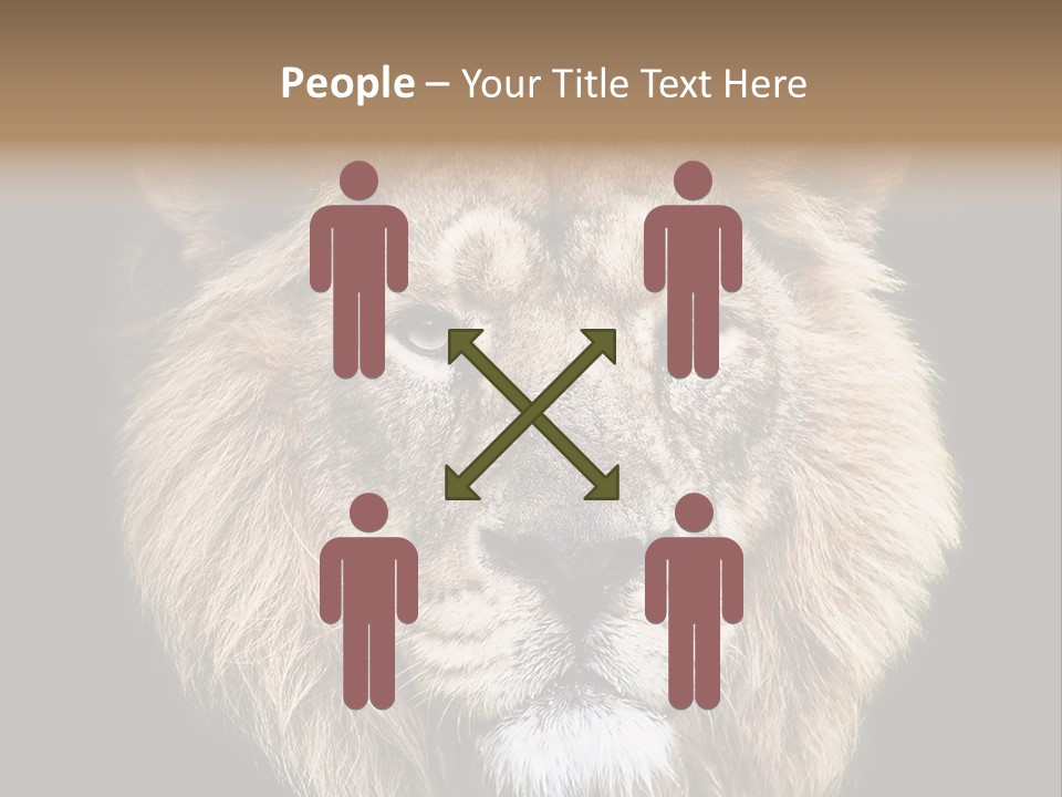 Indian Portrait Asian PowerPoint Template