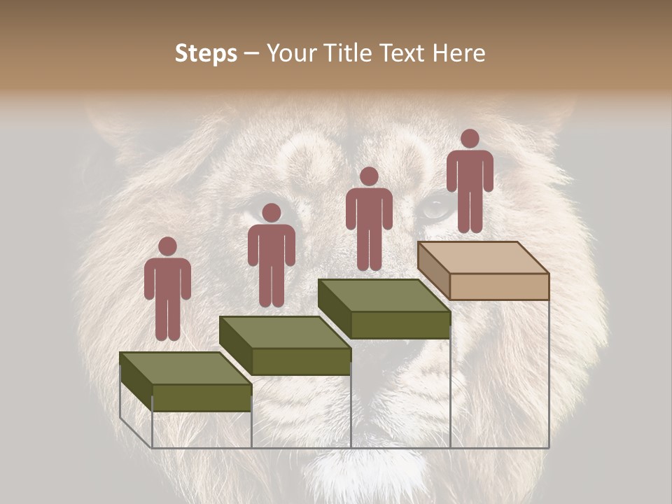 Indian Portrait Asian PowerPoint Template