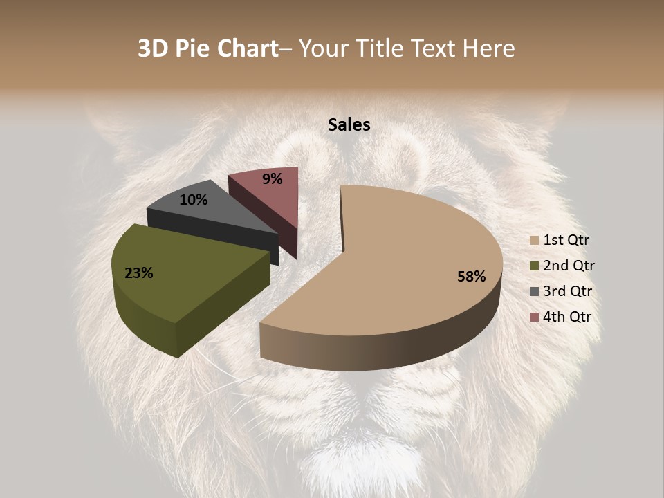 Indian Portrait Asian PowerPoint Template