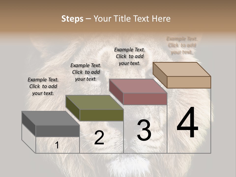 Indian Portrait Asian PowerPoint Template