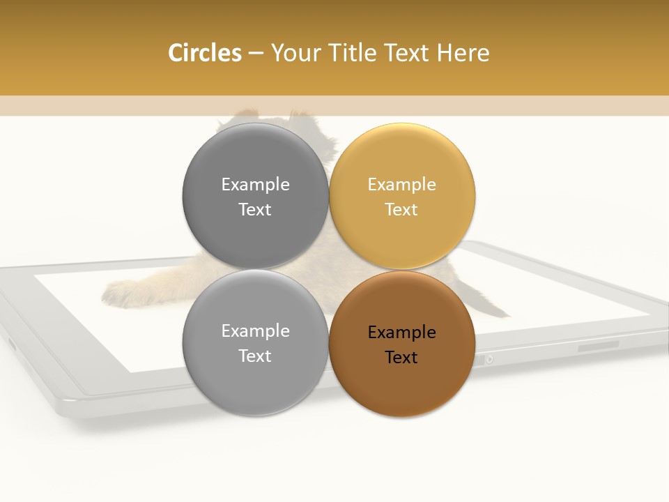 Phone Monitor Touch PowerPoint Template