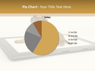 Phone Monitor Touch PowerPoint Template