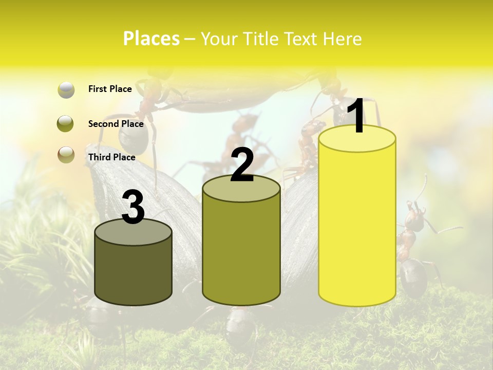 Crop Meadow Insects PowerPoint Template