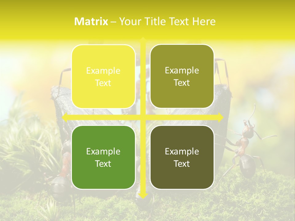 Crop Meadow Insects PowerPoint Template