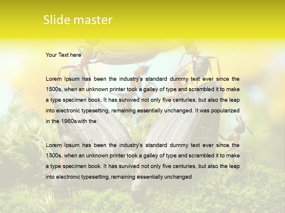 Crop Meadow Insects PowerPoint Template