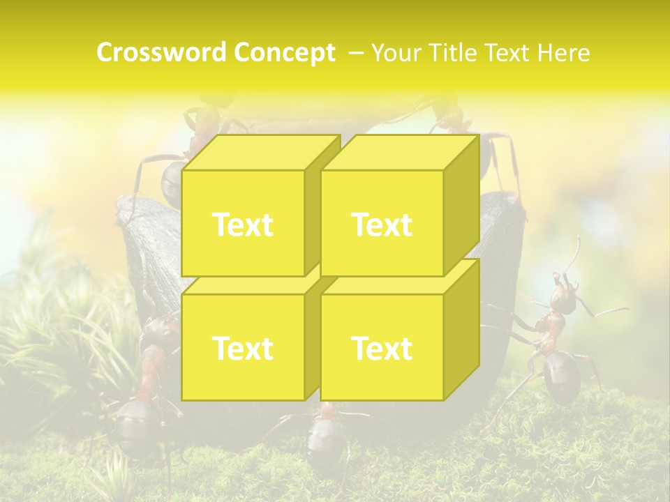 Crop Meadow Insects PowerPoint Template