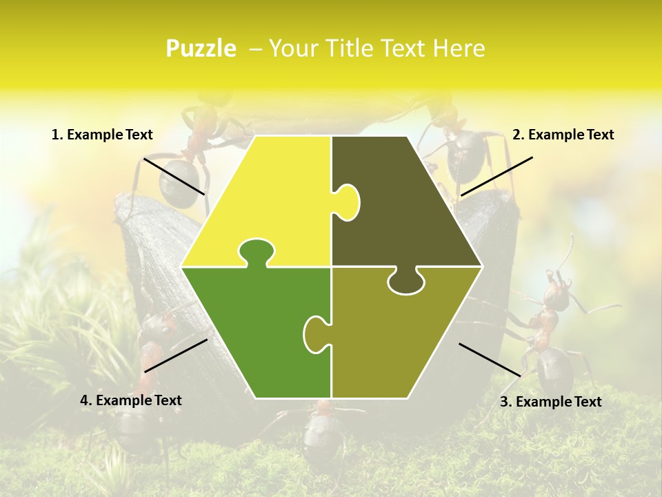 Crop Meadow Insects PowerPoint Template