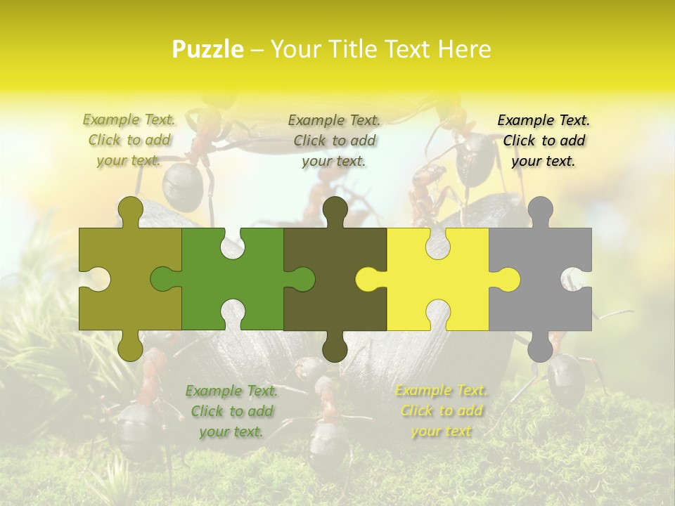 Crop Meadow Insects PowerPoint Template