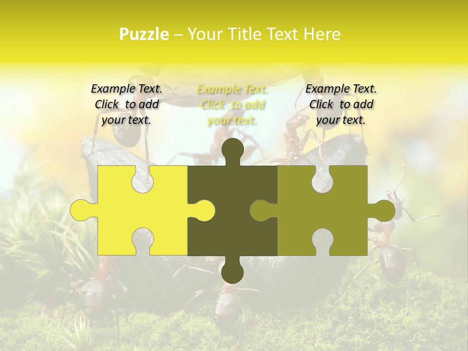 Crop Meadow Insects PowerPoint Template