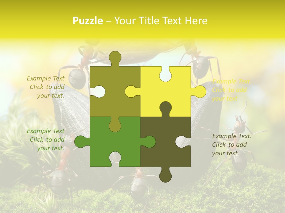 Crop Meadow Insects PowerPoint Template