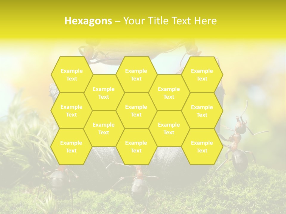 Crop Meadow Insects PowerPoint Template
