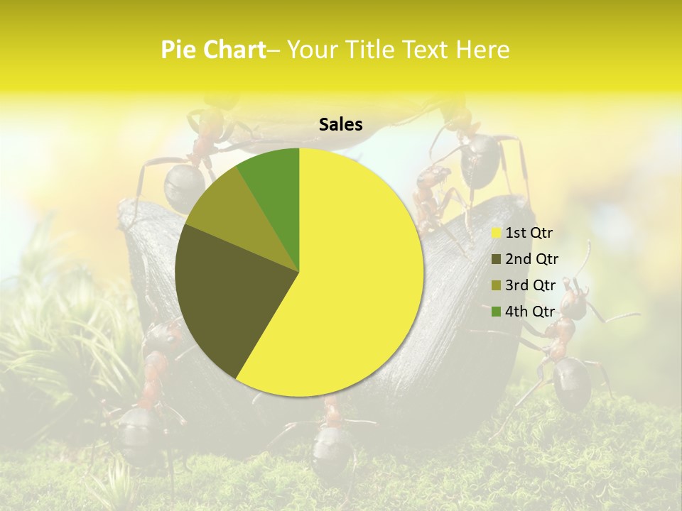 Crop Meadow Insects PowerPoint Template