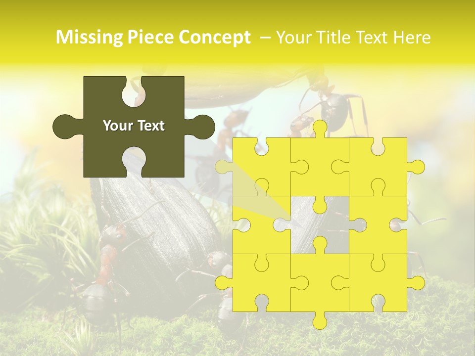 Crop Meadow Insects PowerPoint Template