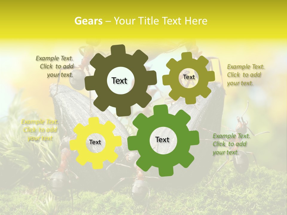 Crop Meadow Insects PowerPoint Template