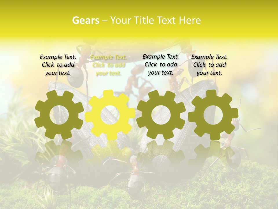 Crop Meadow Insects PowerPoint Template