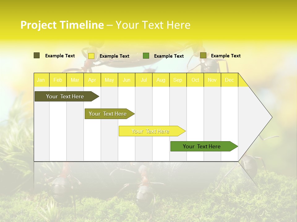 Crop Meadow Insects PowerPoint Template