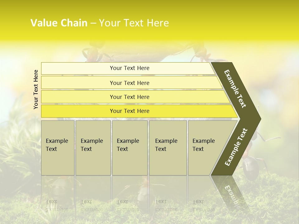Crop Meadow Insects PowerPoint Template