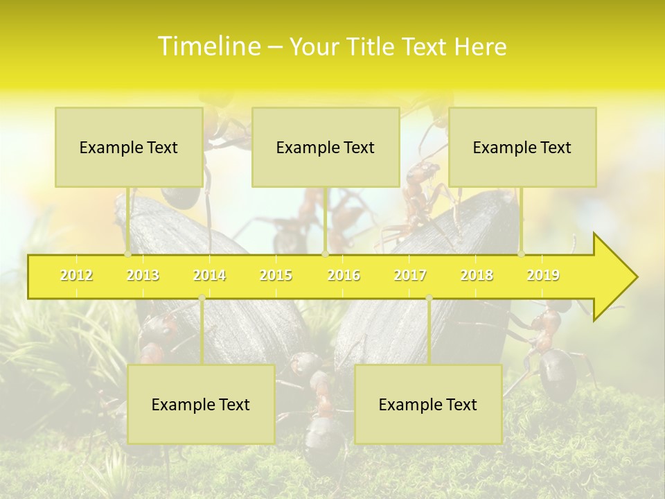 Crop Meadow Insects PowerPoint Template