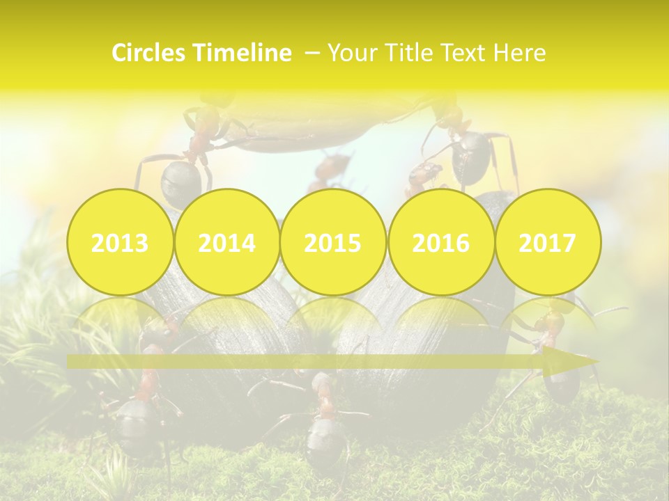 Crop Meadow Insects PowerPoint Template