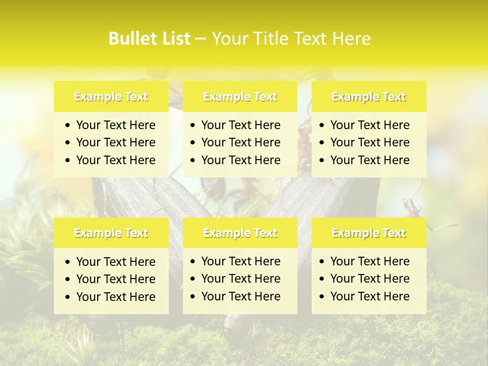 Crop Meadow Insects PowerPoint Template