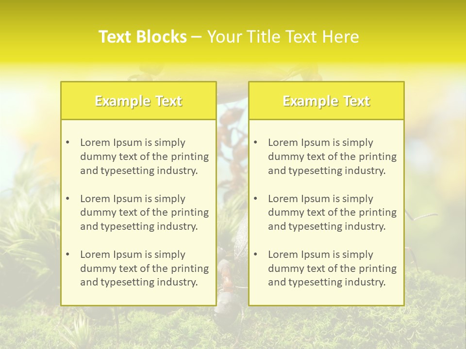 Crop Meadow Insects PowerPoint Template