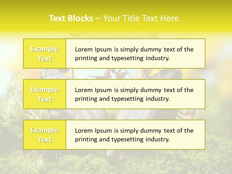 Crop Meadow Insects PowerPoint Template