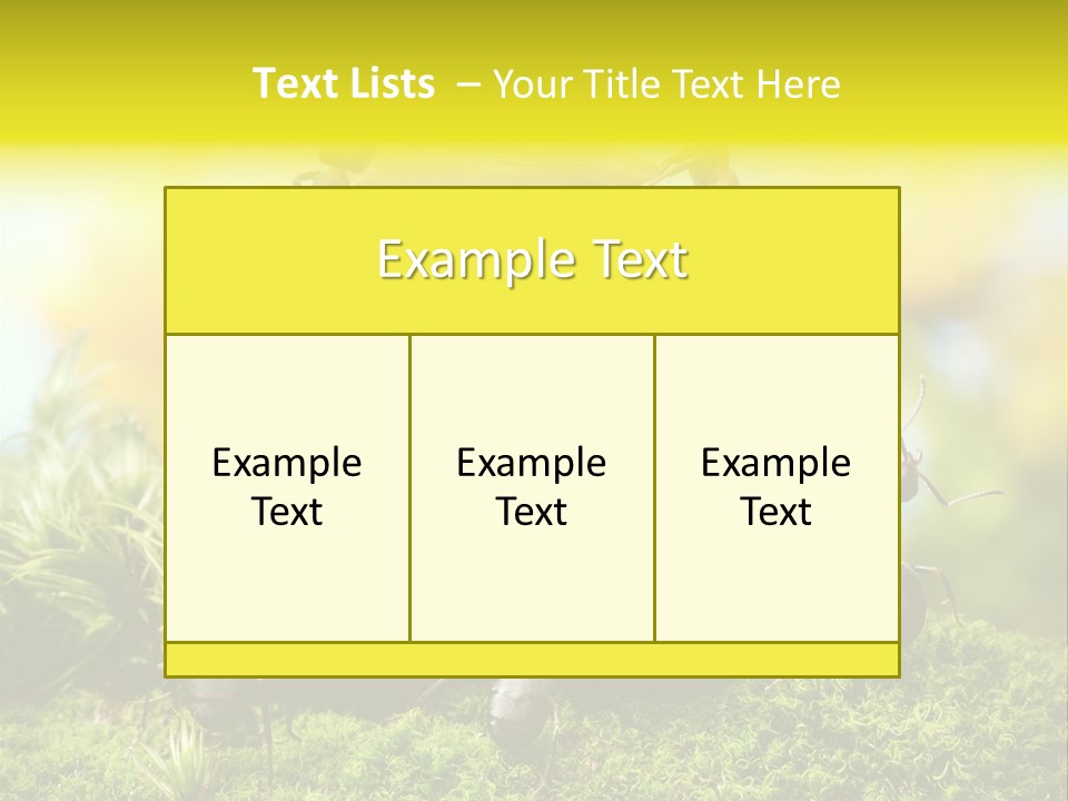 Crop Meadow Insects PowerPoint Template