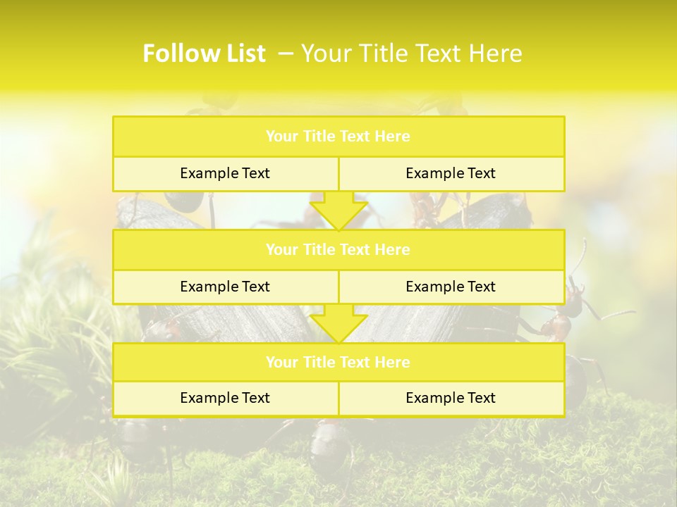 Crop Meadow Insects PowerPoint Template