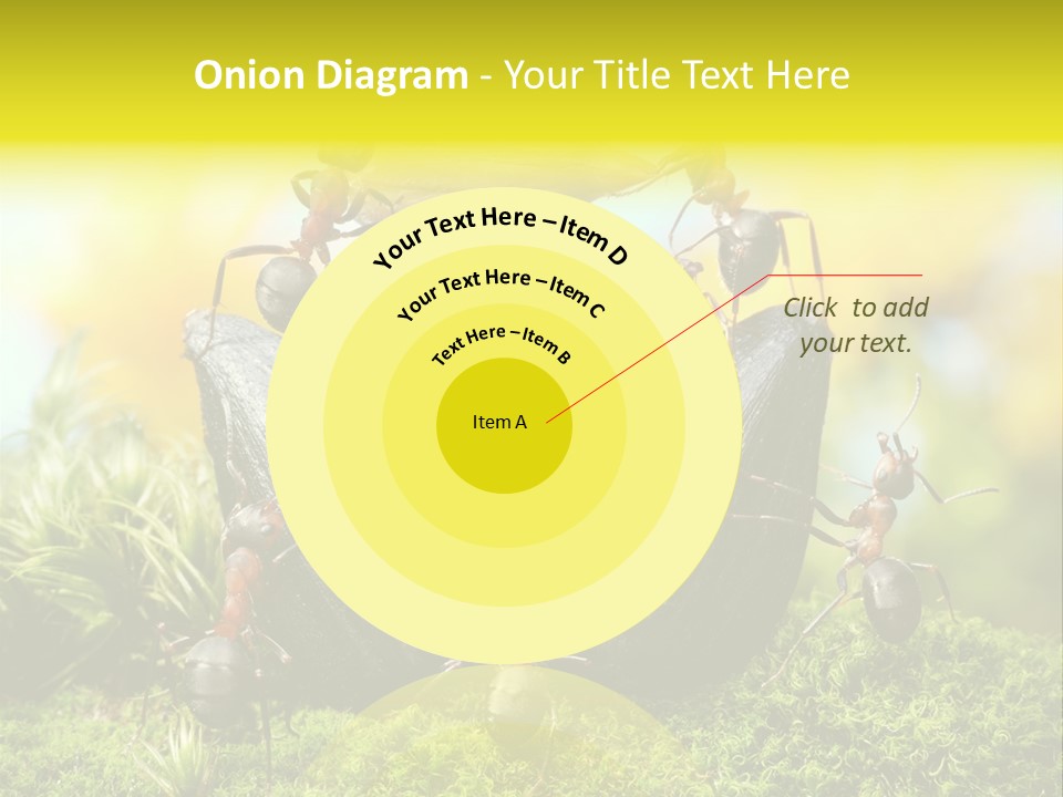 Crop Meadow Insects PowerPoint Template