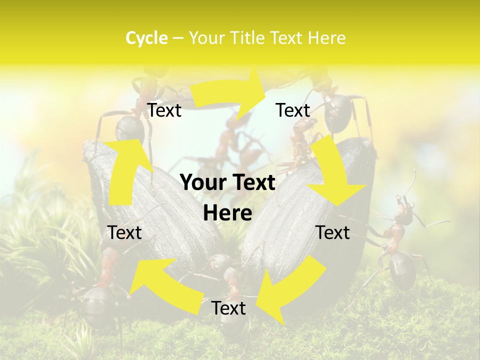 Crop Meadow Insects PowerPoint Template