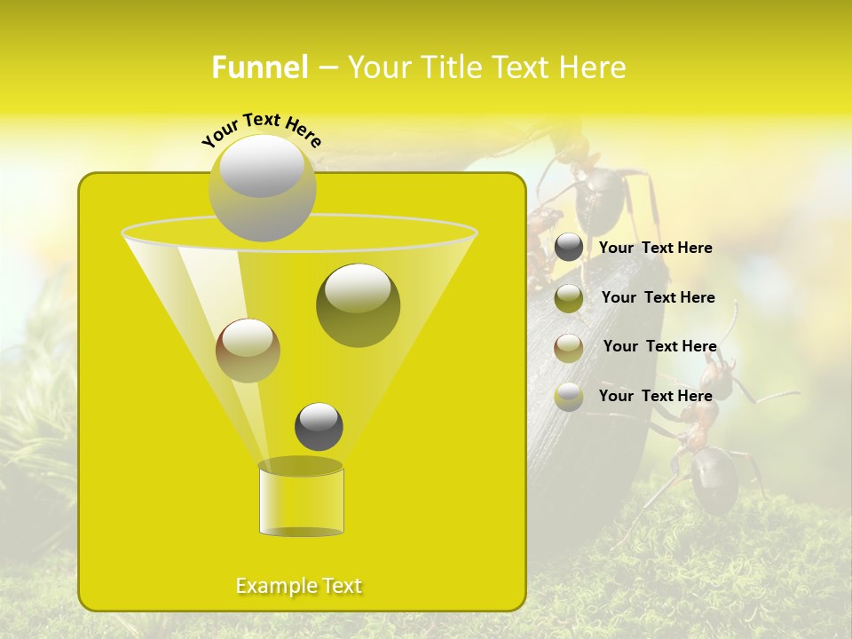 Crop Meadow Insects PowerPoint Template