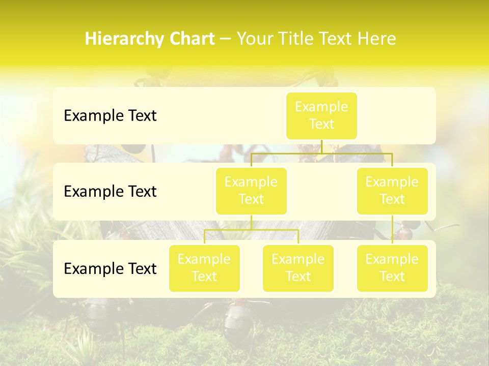 Crop Meadow Insects PowerPoint Template