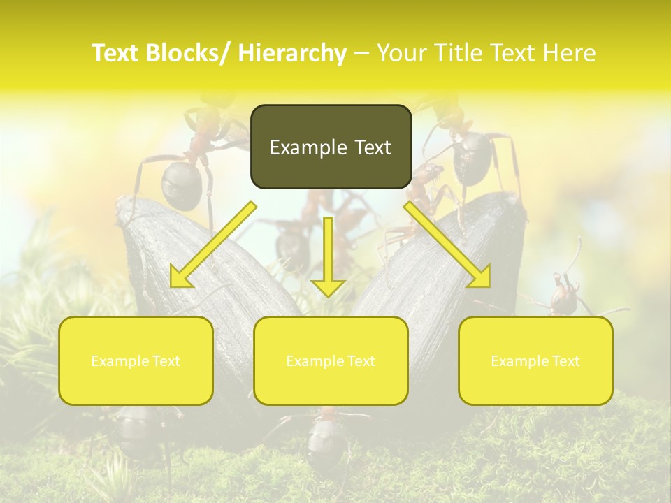 Crop Meadow Insects PowerPoint Template