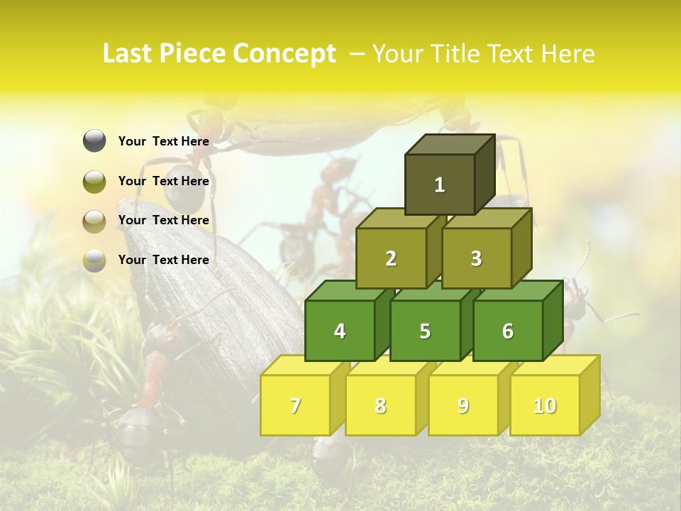 Crop Meadow Insects PowerPoint Template