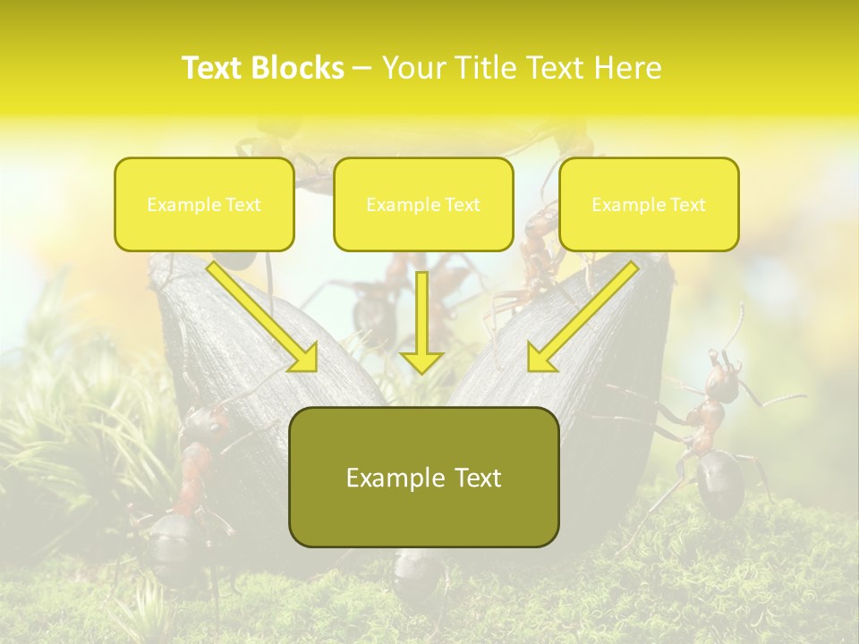 Crop Meadow Insects PowerPoint Template