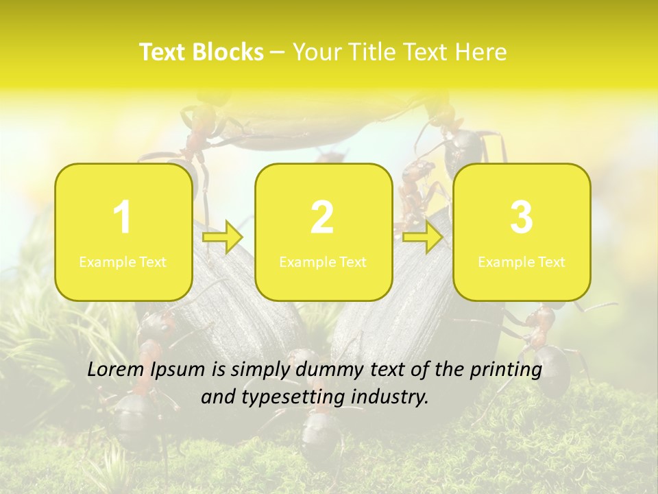 Crop Meadow Insects PowerPoint Template